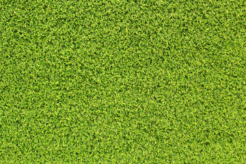 Canvas Print - top view green grass texture for background