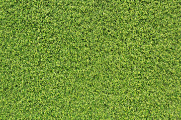 Canvas Print - top view green grass texture for background