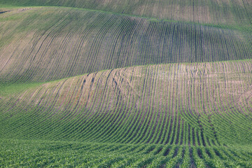 Poster - Dramatic sunset over the agricultural landscape
Aerial shot, countryside landscape during summer or spring time. Fields and meadows in Moravia, Czech republic.
Sunset time