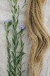 Flax blooming stalks and flax tow on a linen cloth. Natural fabric concept. Vertical image. 