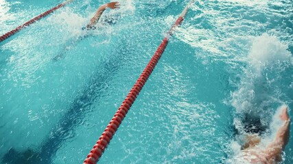 Wall Mural - Swim Race: Two Professional Swimmers in Swimming Pool, Stronger and Faster Wins and Celebrates.