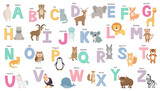 Fototapeta Fototapety na ścianę do pokoju dziecięcego - English alphabet with cute cartoon animals. Colorful alphabet for children. Capital letters. Vector illustration.