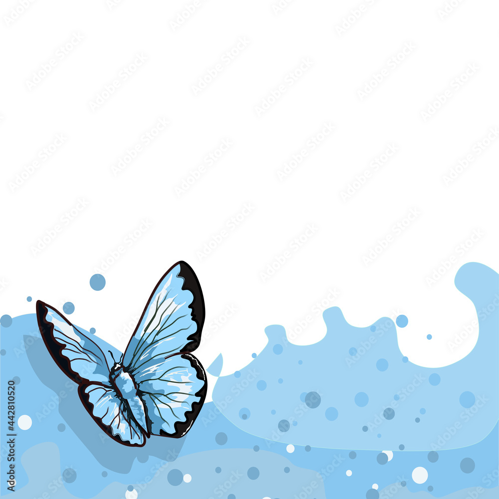 butterfly - motyl - szablon etykiety - obrazy, fototapety, plakaty 
