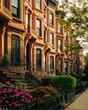 Brownstones in the Bedford-Stuyvesant neighborhood of Brooklyn, New York City