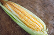 Tender corn cobs peeled to reveal the kernels of corn