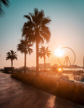 Golden Hour Picture Of The Dubai Beach With Large Ferris Wheel And Palm Tree Silhouettes At Sunset, Teal And Orange Tones Creating Tropical Mood