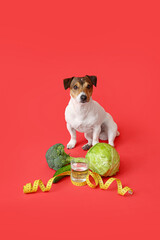 Cute dog with vegetables, measuring tape and water on color background