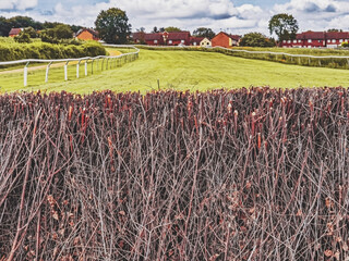 Sticker - The is Warwick racecourse for steeplechase national hunt fence and hurdles horse racing. On a public park. Warwickshire. England UK.