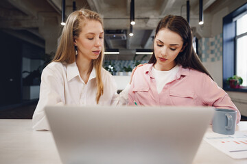 Wall Mural - Two women entrepreneurs working together in office