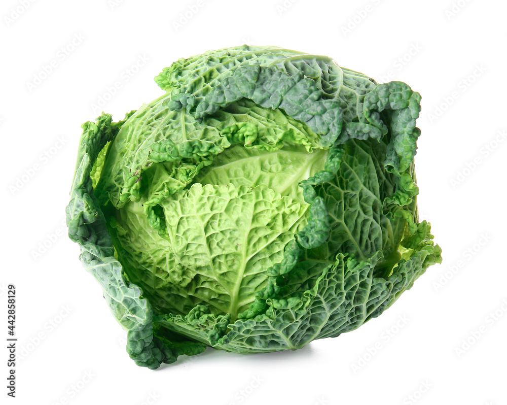 Fresh savoy cabbage on white background