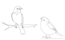 Bird On A Branch Drawing By One Continuous Line