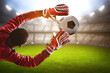 © fotokitas - Goalkeeper catches a soccer ball