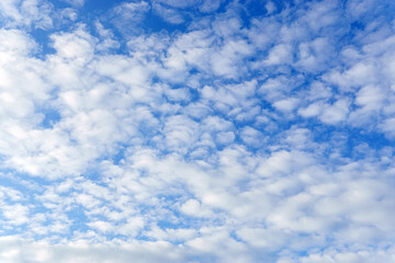 Wall Mural - Clouds sky background with white volumetric foamy clouds in the blue sky. Many cumulus clouds. Background. copy space for text