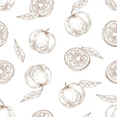 Fototapete - Seamless outlined pattern with yuzu fruit and leaves on white background. Endless repeatable engraved texture with Japanese citrus in vintage style. Hand-drawn vector illustration for printing