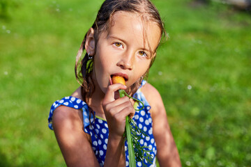 a young girl holds and eat a carrot that she picked from her family's garden