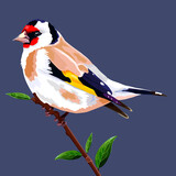 Fototapeta  - vector art realistic goldfinch