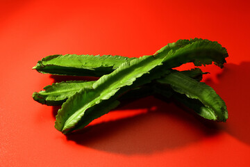 Wall Mural - Winged beans or Four angled beans are tropical legumes