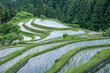 日本の原風景　棚田百選”樫原の棚田”