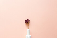 White Vase Of Dry Red Rose Flower On Pink Background. Top View, Copy Space