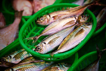 Wall Mural - fresh fish at the market