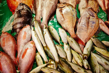 Wall Mural - fresh fish at the market