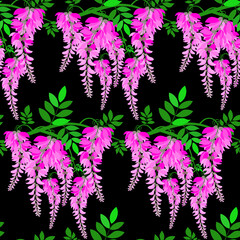 Wall Mural - Seamless pattern with a branch of pink wisteria on a black isolated background. Beautiful pattern with wisteria flowers for textiles, fabrics, wallpapers.