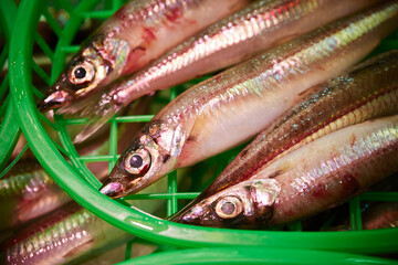 Wall Mural - fresh fish at the market