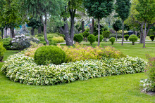 A Flower Bed With Bushes And Flowers Surrounded By Leaves Landscaping A Garden With Plants For A Backyard Decor In The Spring Season In The Background A Park With Trees, Nobody.