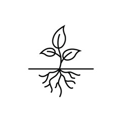 Wall Mural - plant root logo icon design template vector
