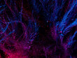 light painting photography, waves of vibrant color against a black background. Long exposure photo of vibrant fairy lights in abstract. abstract color wallpaper	
