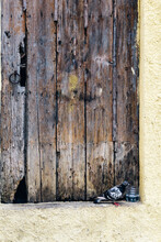 A Pigeon Drinking Water On An Old Wooden Door