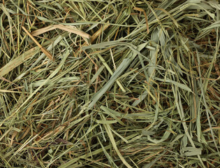 Background of natural dried hay and straw