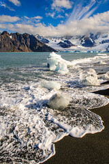 Poster - Antarctica seashore pattern