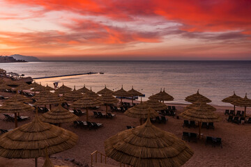 Wall Mural - Sunset at the beach with palm trees, parasols and sunbeds. Family Holidays at Sea. Red Sea, Egypt.