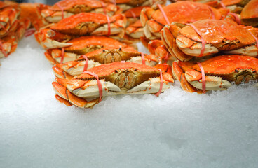 Wall Mural - Frozen cooked crab on the ice for sale