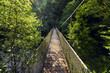 Suspension bridge over a river in jungle. Fornelos Bridge in Fragas Do Eume Nature Park, Galicia.