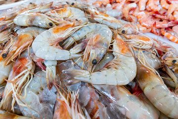 Wall Mural - Seafood on ice at the fish market in Panama City, Panama. 