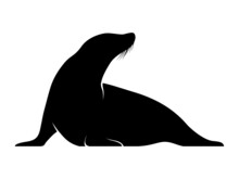 Seal Silhouette. Isolated Vector Animal Template For Logo Company, Icon, Symbol Etc