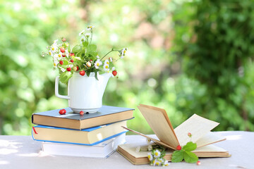 A strawberry bush in a teapot and a bouquet of daisies and a seashell on a stack of books on a table in the garden. Summer Leisure and Relaxation