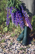 A close up of a flower garden.Lupine flowers and green rubber boots.The girl lowered a bouquet of wild flowers down.Rustic rubber shoes.Lilac Lupines.Rubble is sprinkled on the village road