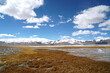 Nature Scene of Landscape Tso kar lake with snow mountain background reflection on the lake at Leh Ladakh ,Jammu and Kashmir , India  - Travle and vacation park and outdoor 
