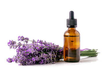 Lavender essential oil in a bottle and a bouquet of blooming lavender on a white isolated background.