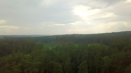 Wall Mural - Summer afternoon after storm - flying over forest.