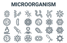 Linear Pack Of Microorganism Line Icons. Simple Web Vector Icons Set Such As Virus, Amoeba, Virus, Tuberculosis, E Coli. Vector Illustration.