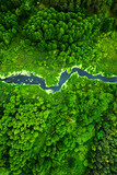 Fototapeta Natura - Forest, river and blooming algae. Aerial view of wildlife, Poland.