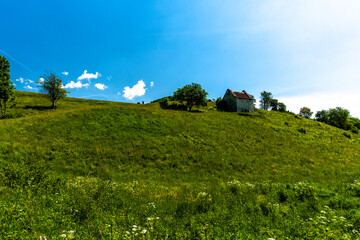 2021 06 13 Lessini abandoned farm 2