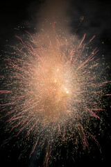 Wall Mural - fireworks in celebration of the fourth of july 2021