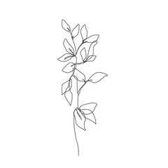 Wall Mural - Continuous Line Drawing of Leaves Branch Black Sketch Isolated on White Background. Simple Leaf One Line Illustration. Minimalist Botanical Drawing. Vector EPS 10.