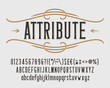 Attribute alphabet font. Vintage letters, numbers and punctuations for label, badge or emblem design. Stock vector typeface for your typography design.