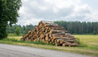 Big pile of firewood piled by the road